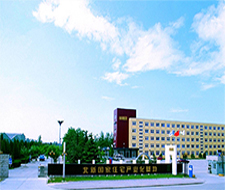 北新建材（000786.SZ）在深圳证券交易所上市